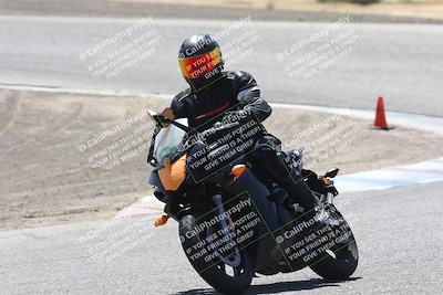 media/Sep-01-2024-Lets Ride (Sun) [[fd7c166674]]/C Group/Cotton Corners/